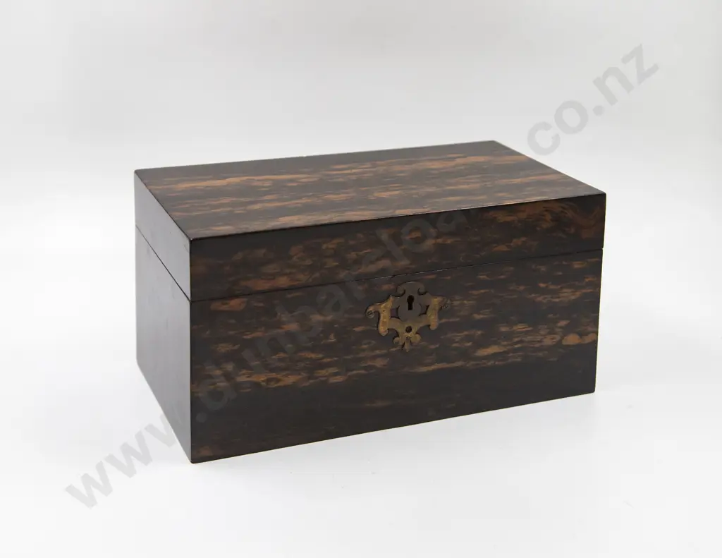 Early Victorian Coromandel Wood Tea Caddy Image 1++