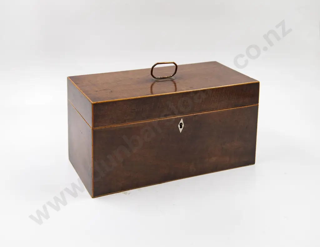 WMIV Mahogany Boxwood Strung Tea Caddy Image 1++