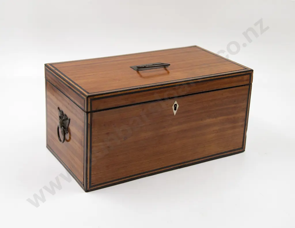 Regency Satinwood & Ebony Strung Tea Caddy Image 1++