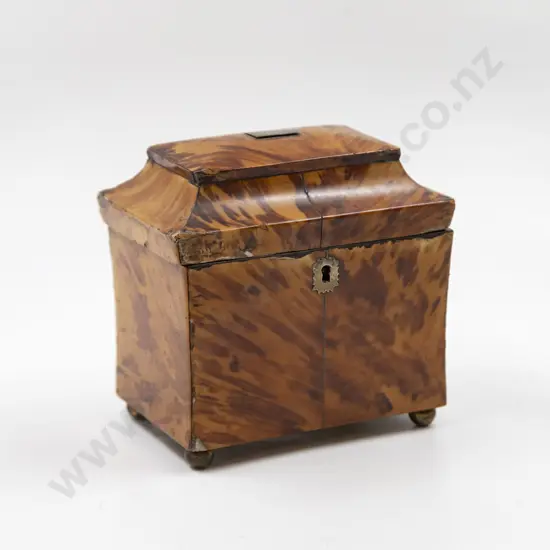 Early C19th Two Section Tortoiseshell Tea Caddy