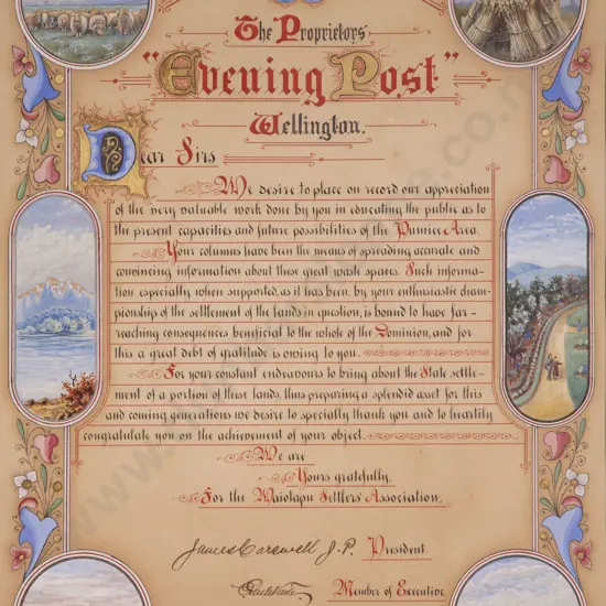 C1919 Illuminated Address from the Waiotapu Settlers Association to The Evening Post