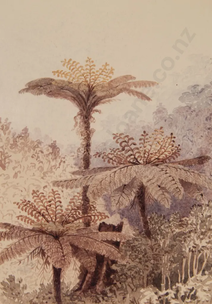 Francis Dillon Bell (1821 - 1898) - Ferns on Town Belt Image 1++