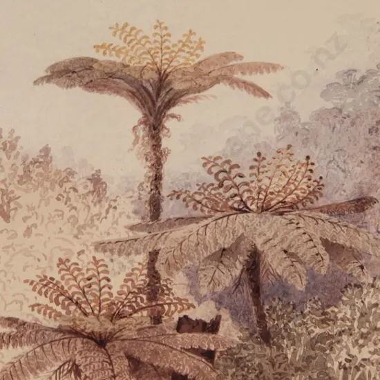 Francis Dillon Bell (1821 - 1898) - Ferns on Town Belt