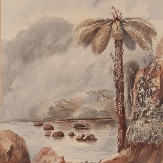 Francis Dillon Bell (1821 - 1898) - Hutt River
