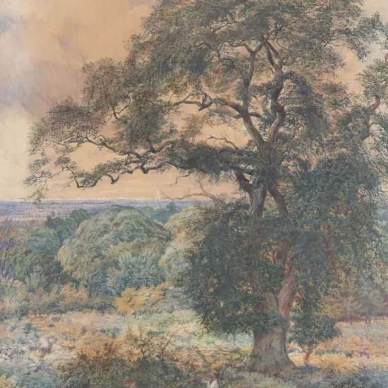 Attributed George Vicat Cole (British 1833 - 1893) - South East England Landscape