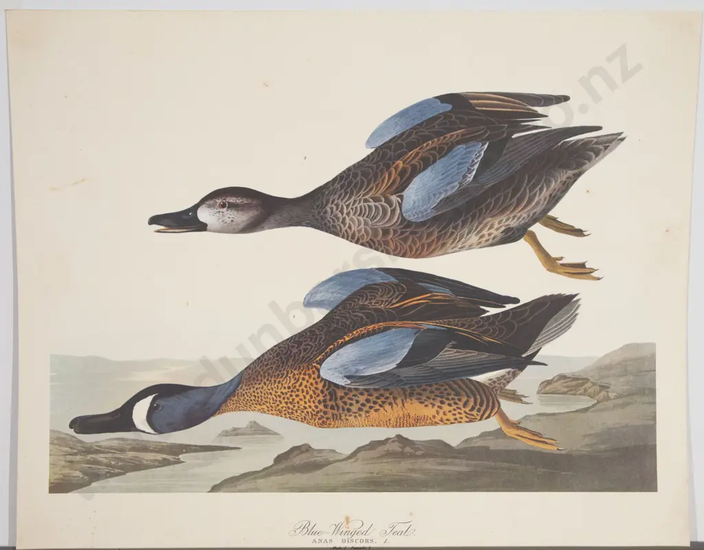 Collection 12 Assorted Unframed Prints Engravings Etc Image 1++