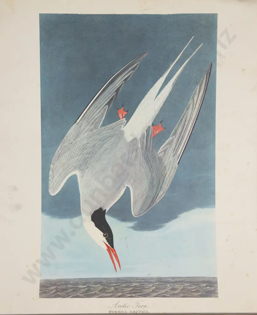Collection 12 Assorted Unframed Prints Engravings Etc Image 1++