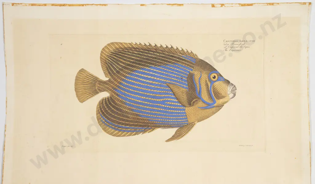 Collection 12 Assorted Unframed Prints Engravings Etc Image 1++