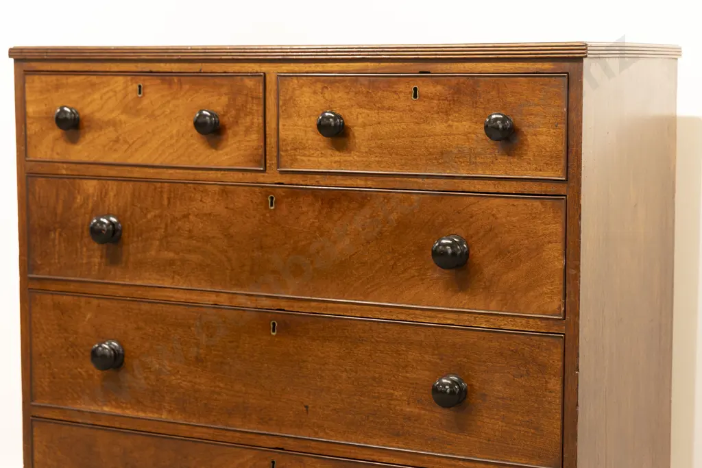 Late Geo III Mahogany Flat Front Chest Image 1++
