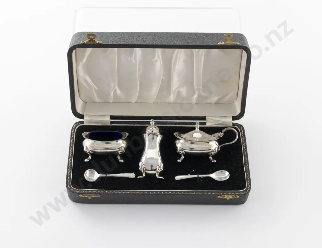 Cased QEII S/S 5 Piece Cruet Set Image 1++