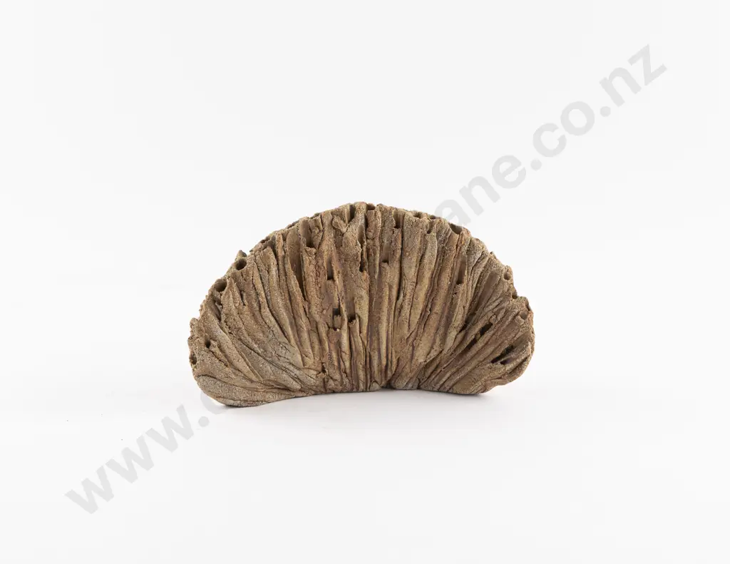 NZ Pottery Sedge Vase Image 1++