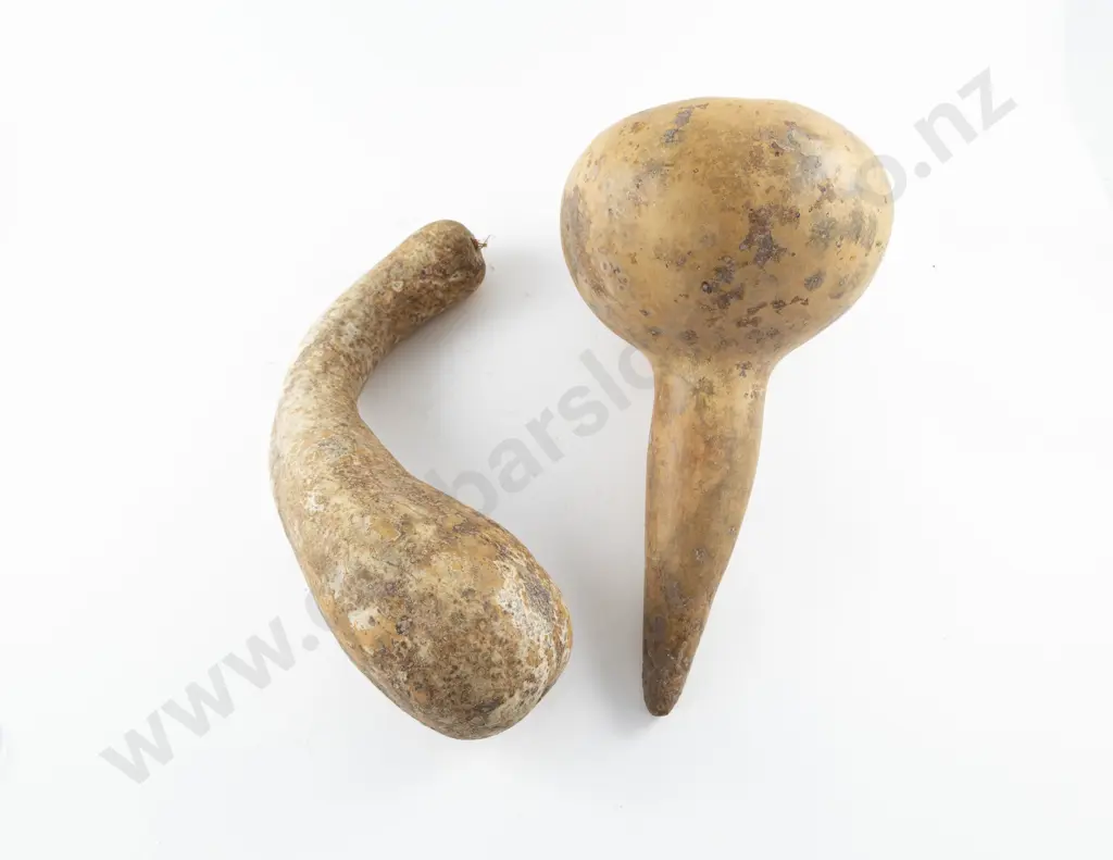 Two Gourds Image 1++