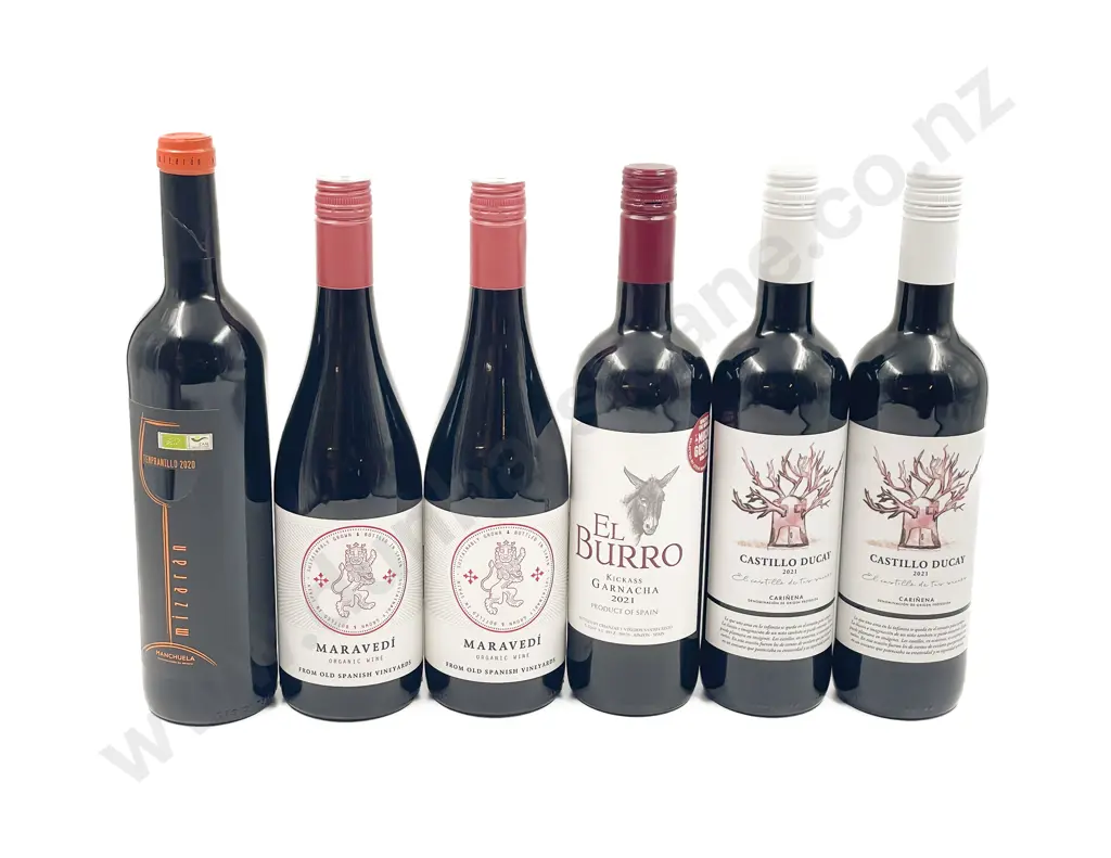 Six Assorted Spanish Red Wines Image 1++