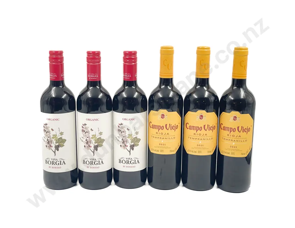 Six Assorted Spanish Red Wines Image 1++