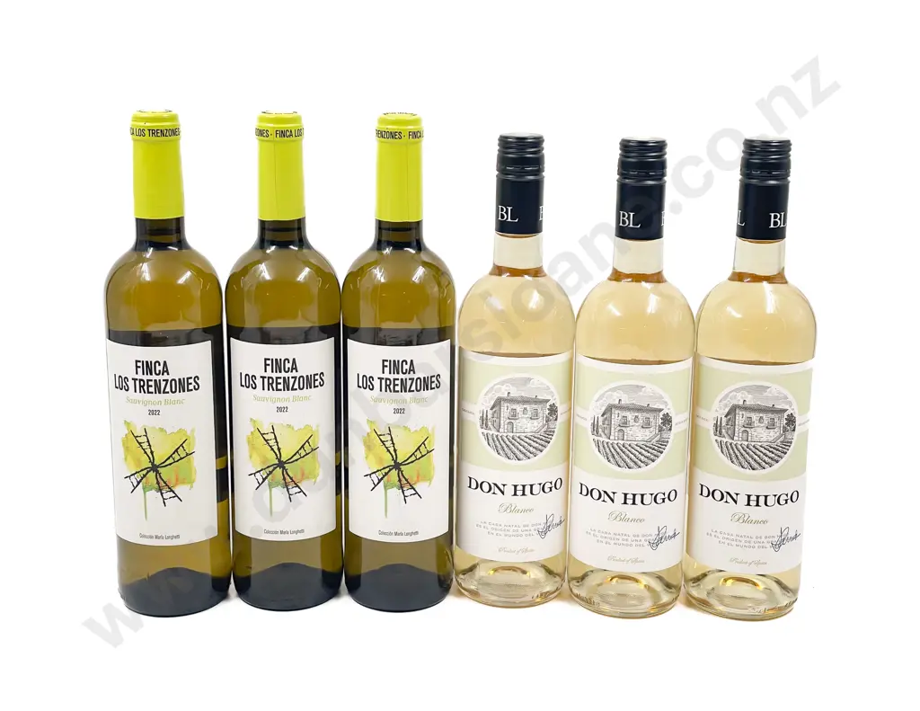 Six Assorted Spanish White Wines Image 1++