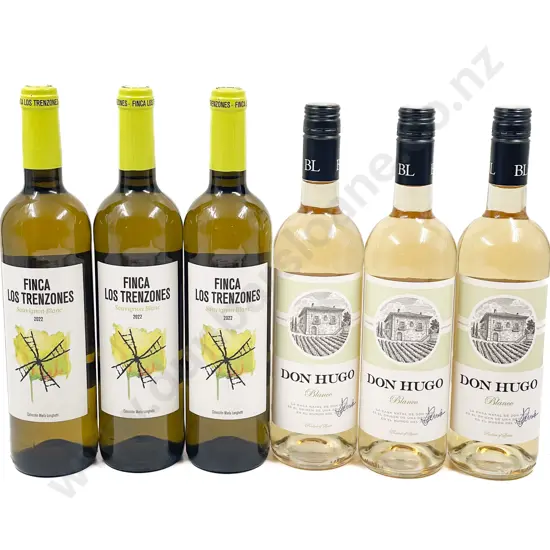 Six Assorted Spanish White Wines
