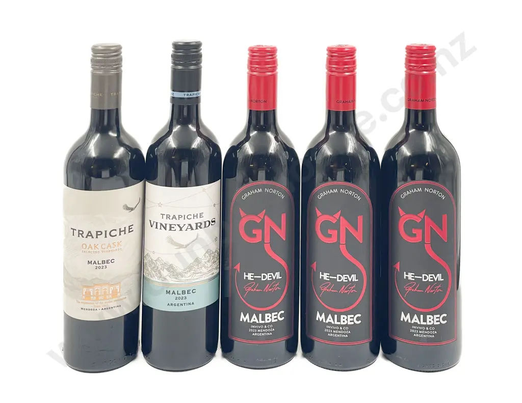 Five Assorted Argentinian Red Wines Image 1++