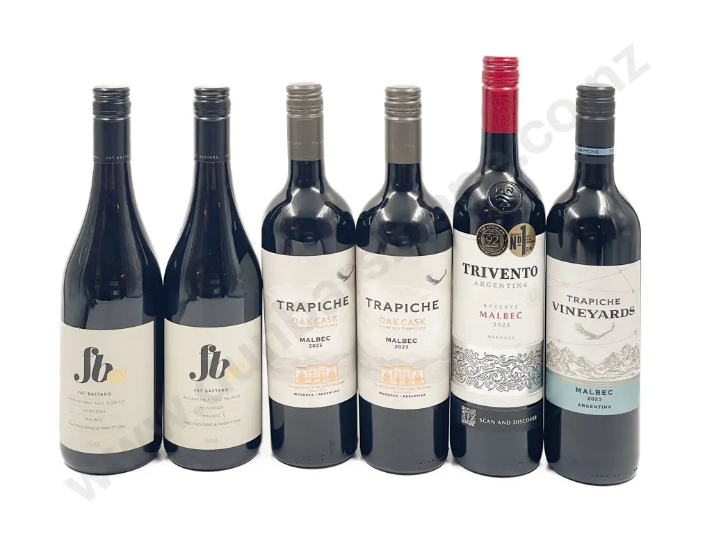 Six Assorted Argentinian Red Wines Image 1++