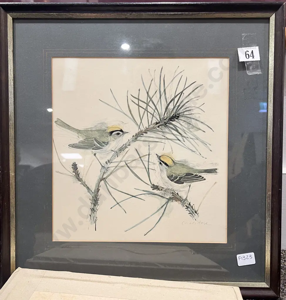 Three Assorted Bird Studies and Other Image 1++