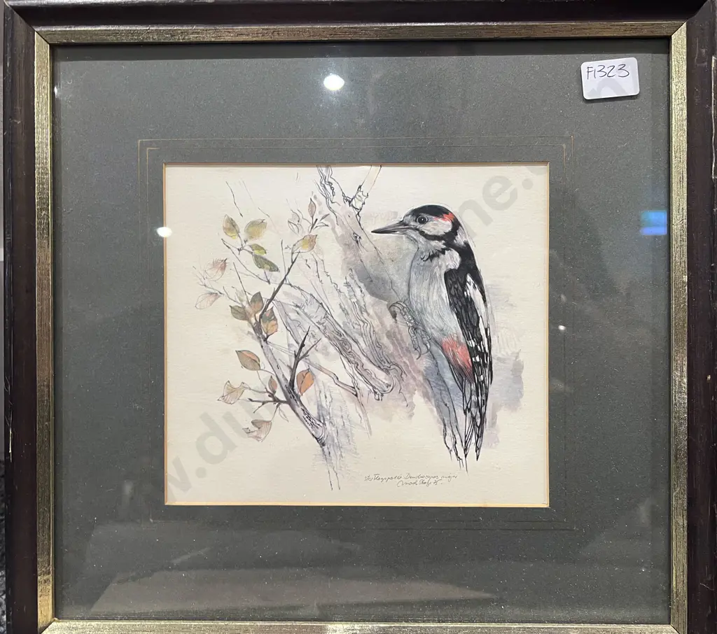 Three Assorted Bird Studies and Other Image 1++
