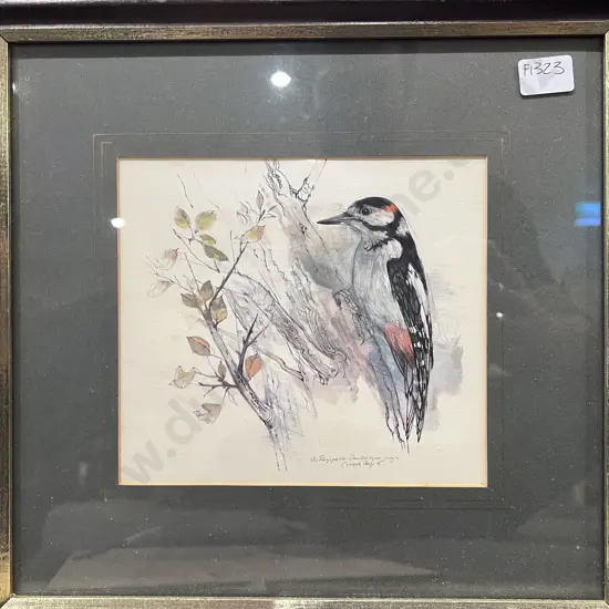Three Assorted Bird Studies and Other