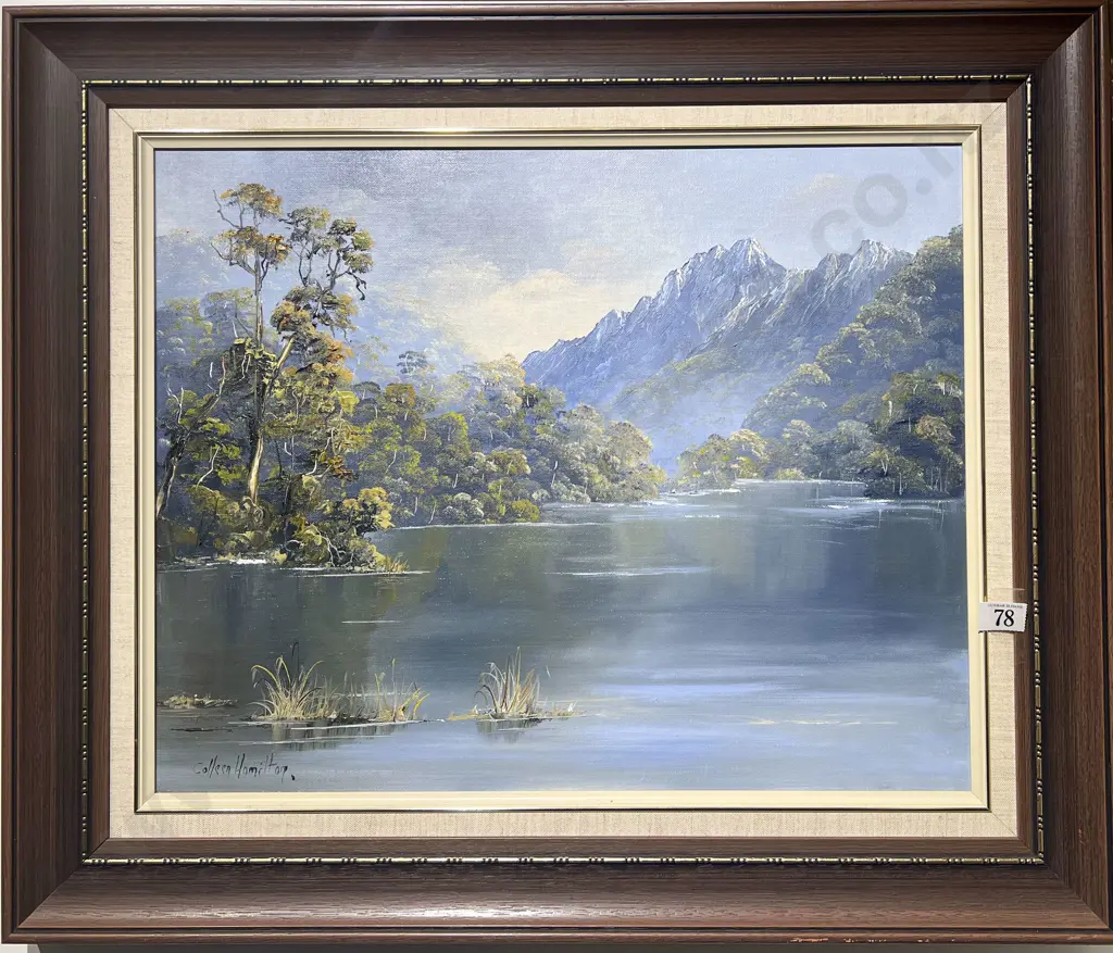 Colleen Hamilton "Lake Te Anau" Oil on Board Image 1++
