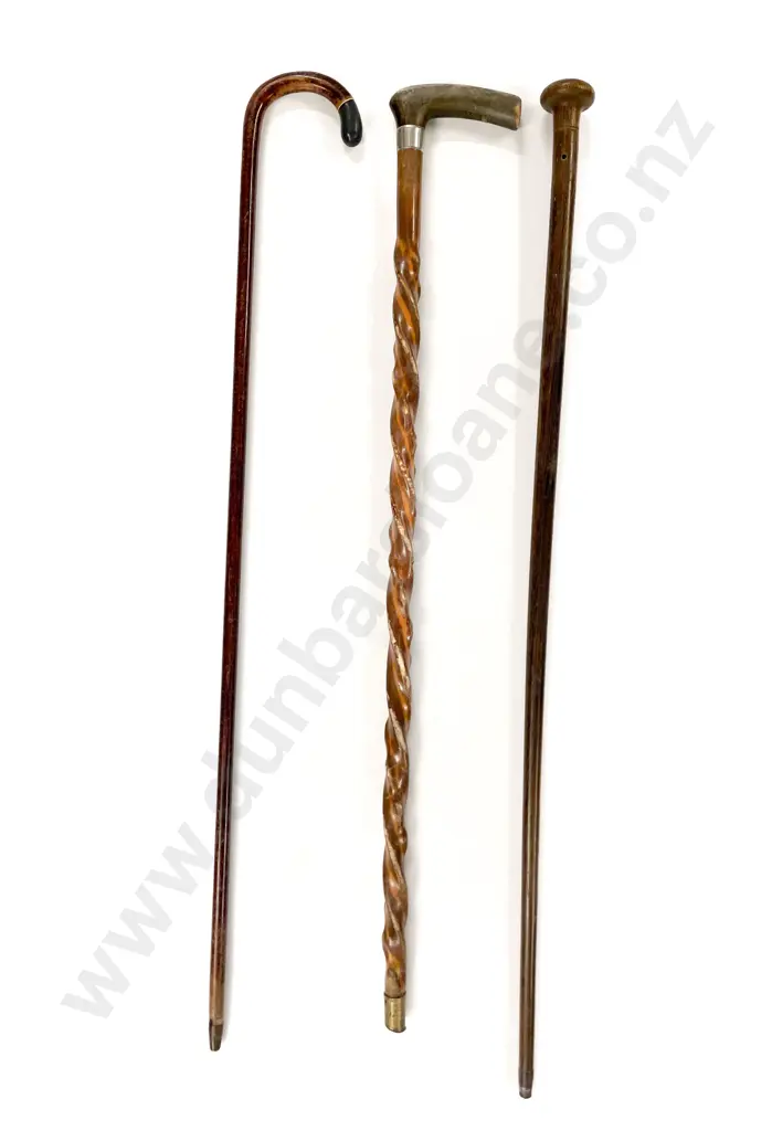 Three Assorted Walking Sticks Image 1++