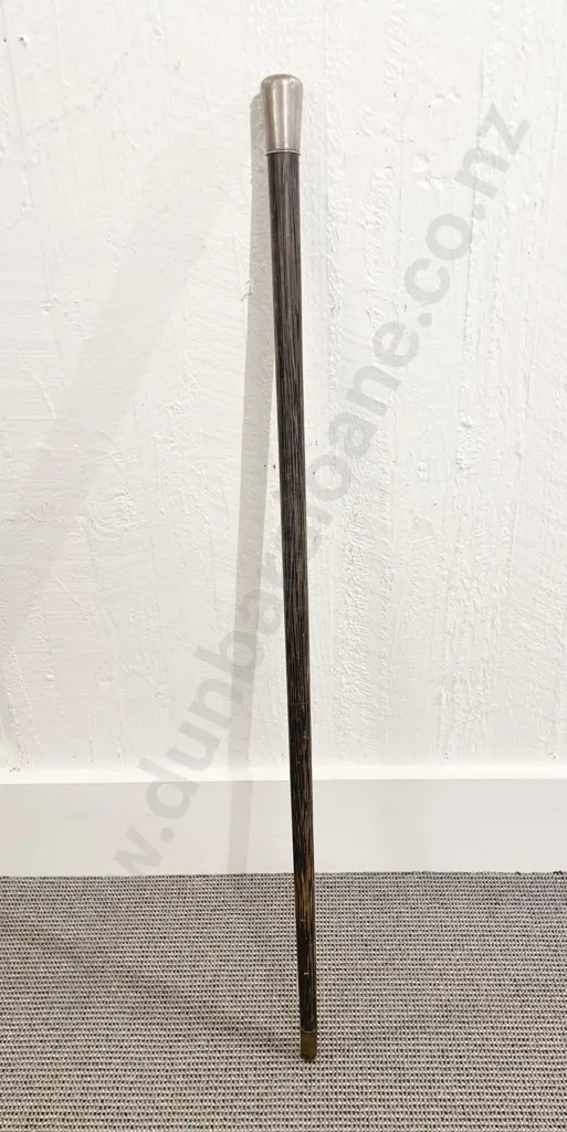S/S Topped Walking Cane Image 1++