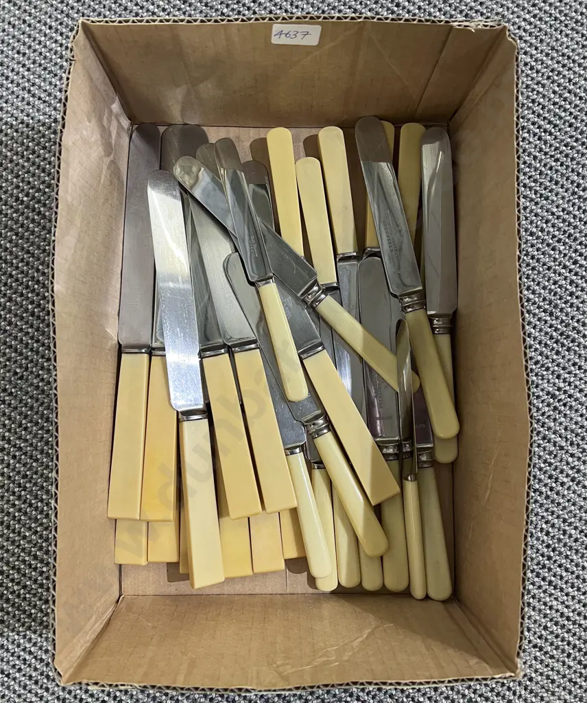 Qty of Assorted Bone Handled Knives Image 1++