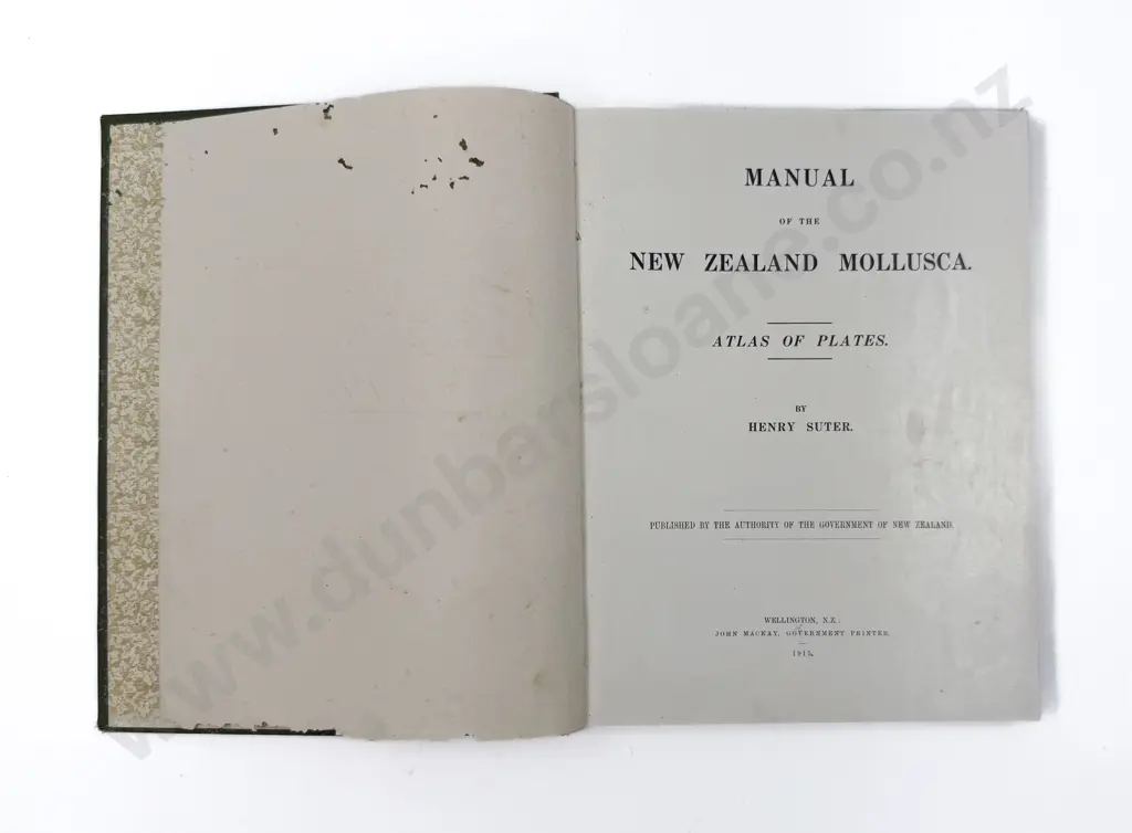 Henry Suter "Manual of New Zealand Mollusca: Atlas and Plates" Image 1++