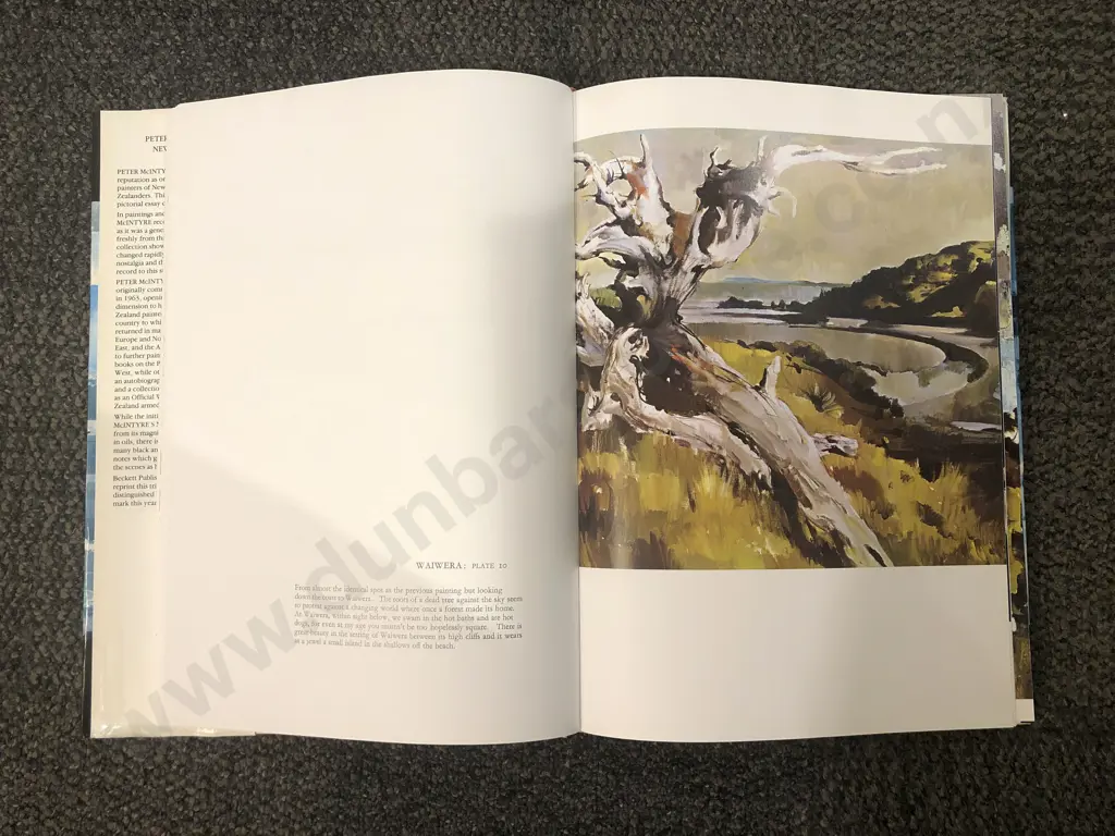 Peter McIntyre's "New Zealand" Image 1++