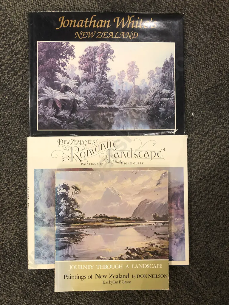 Three Assorted NZ Art Volumes Image 1++
