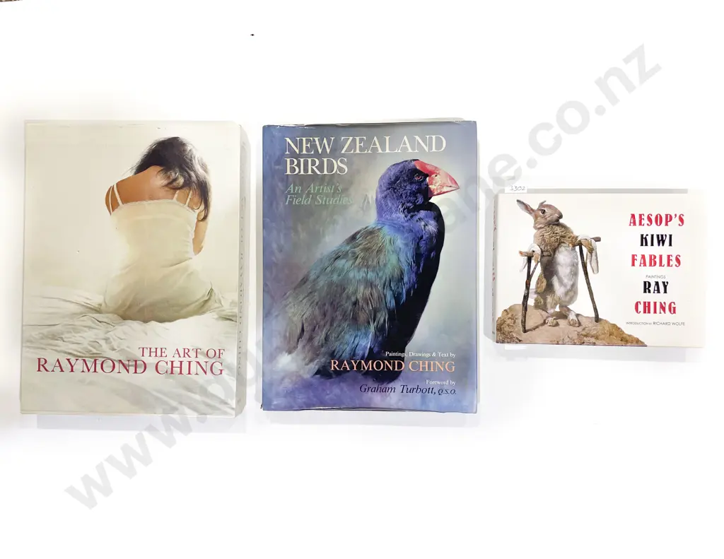 Three Assorted Raymond Ching Art Books Image 1++