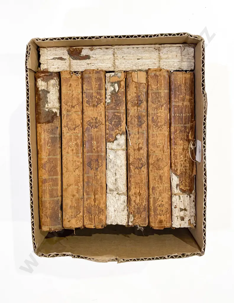 Eight Spectator Volumes Image 1++