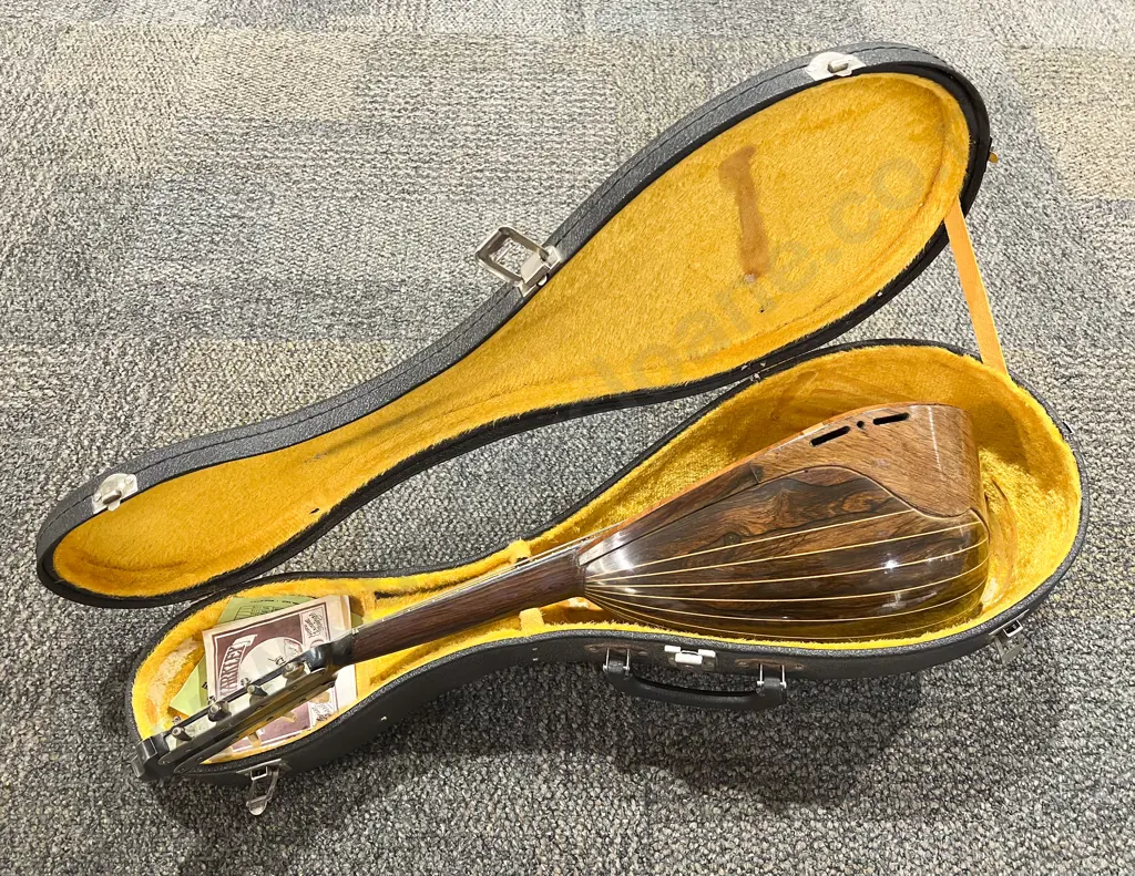 Inlaid Mandolin in Case Image 1++