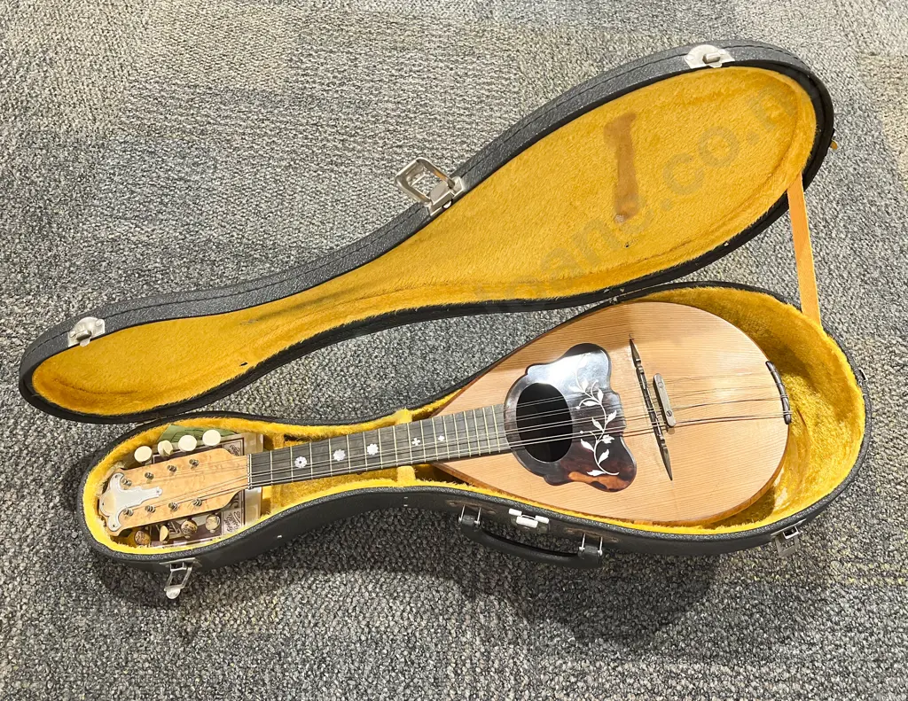 Inlaid Mandolin in Case Image 1++
