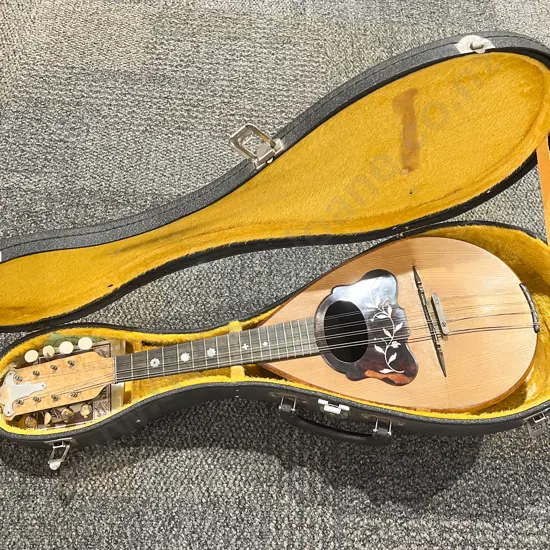 Inlaid Mandolin in Case