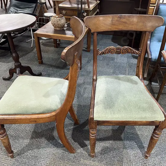Pair of Wm IV Mahogany Dining Chairs