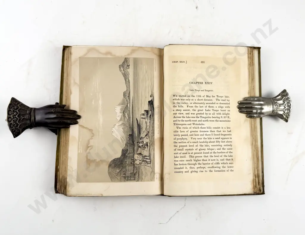 Dieffenbach Ernest - Travels In New Zealand (2 Volumes) Image 1++