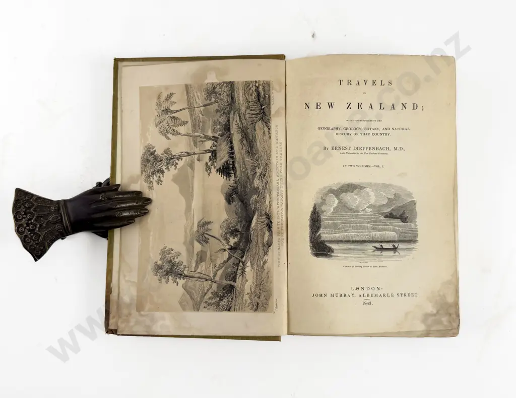 Dieffenbach Ernest - Travels In New Zealand (2 Volumes) Image 1++