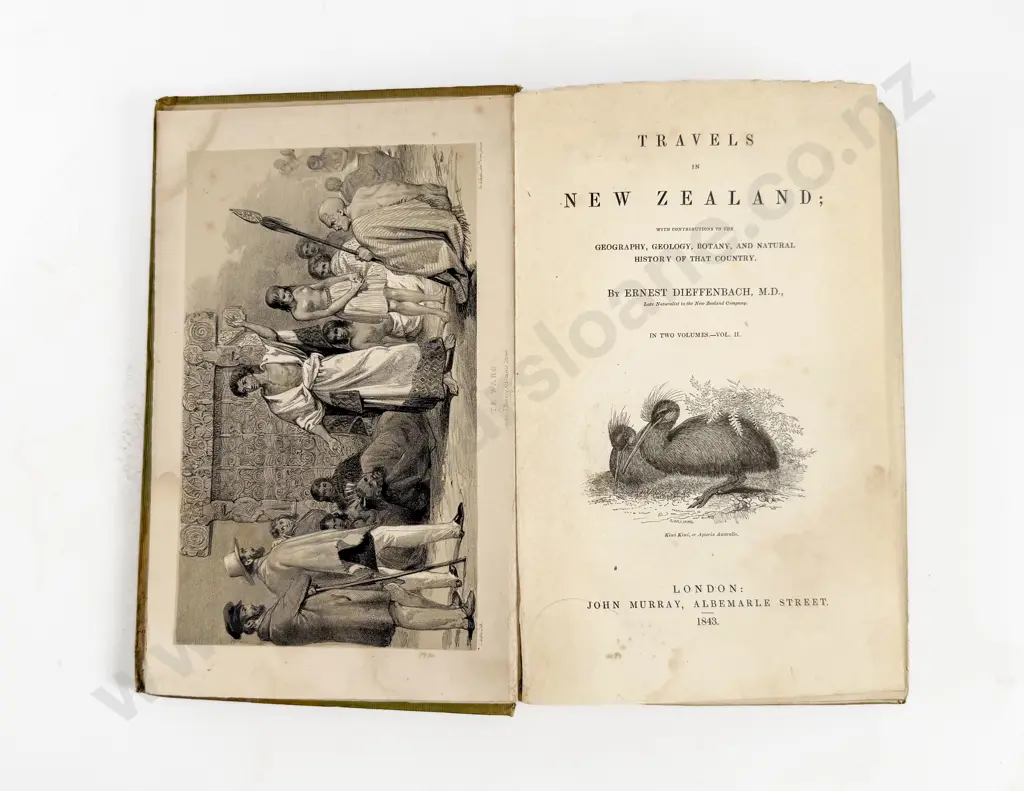 Dieffenbach Ernest - Travels In New Zealand (2 Volumes) Image 1++