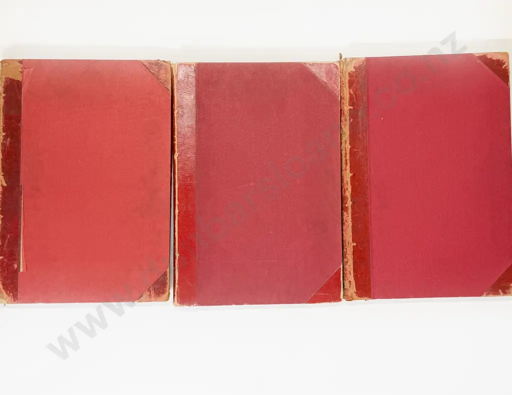3 Bound Volumes Of The Auckland Weekly News From The Years 1918/1919/1920 Image 1++
