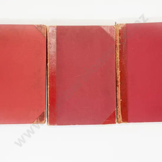 3 Bound Volumes Of The Auckland Weekly News From The Years 1918/1919/1920