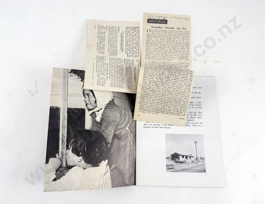 Westra Ans - Washday at the Pa Image 1++