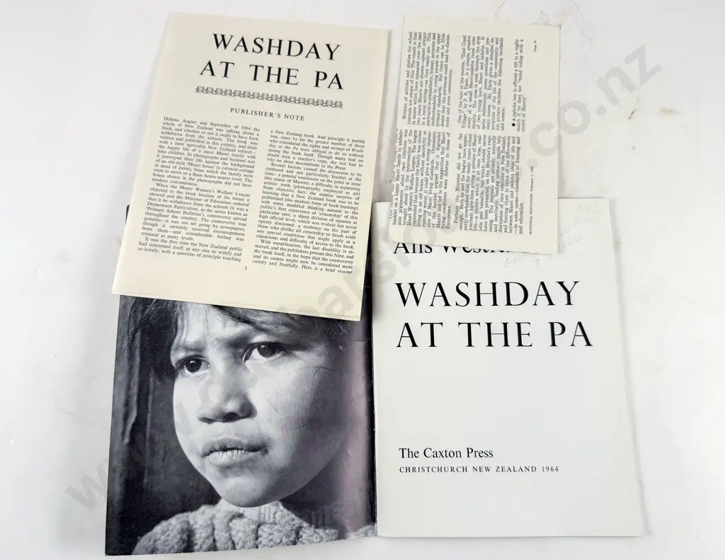 Westra Ans - Washday at the Pa Image 1++