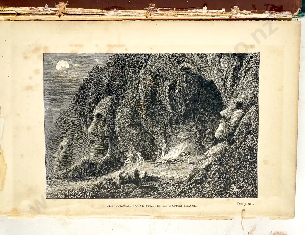 Two Pacific Island Volumes Image 1++