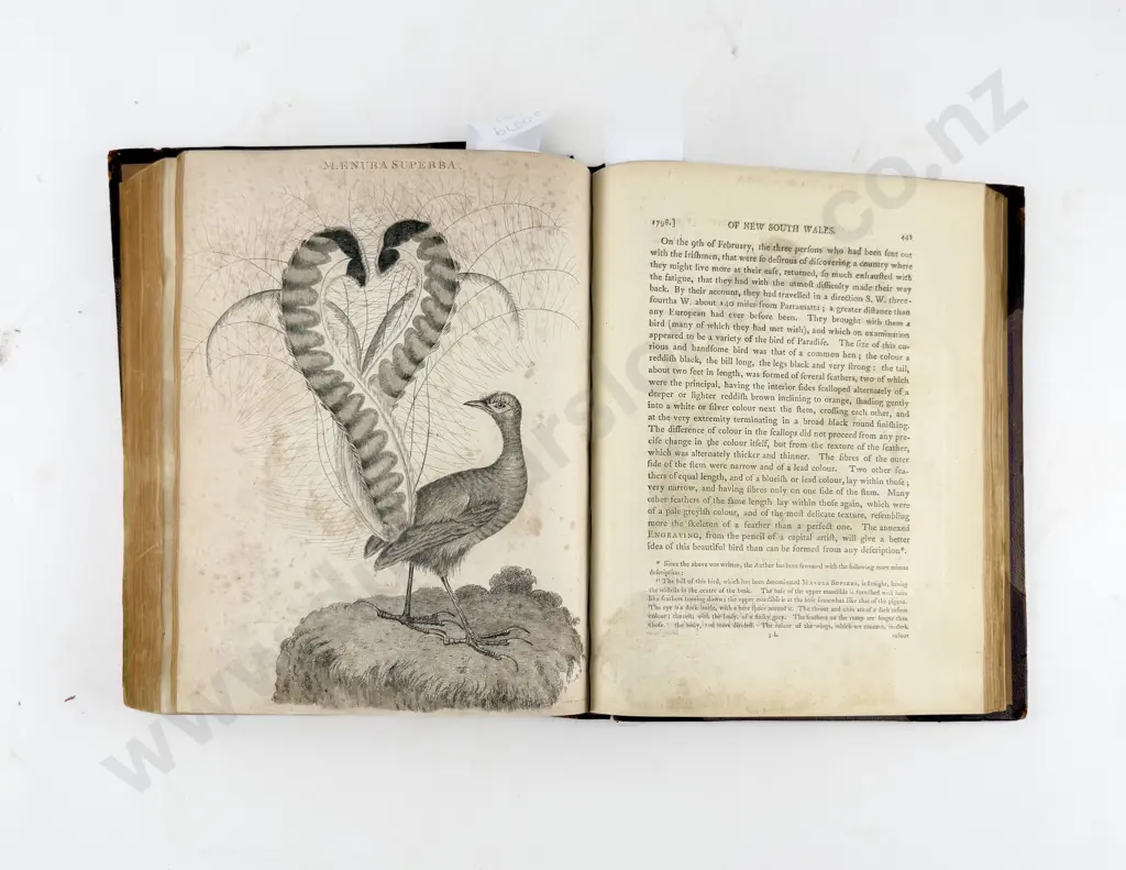Collins Lieutenant-Colonel - An Account of the English Colony in New South Wales Image 1++