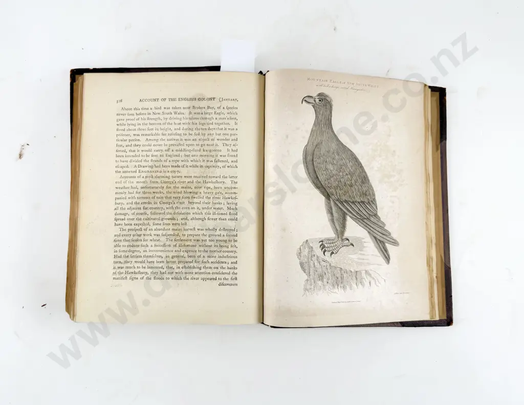 Collins Lieutenant-Colonel - An Account of the English Colony in New South Wales Image 1++