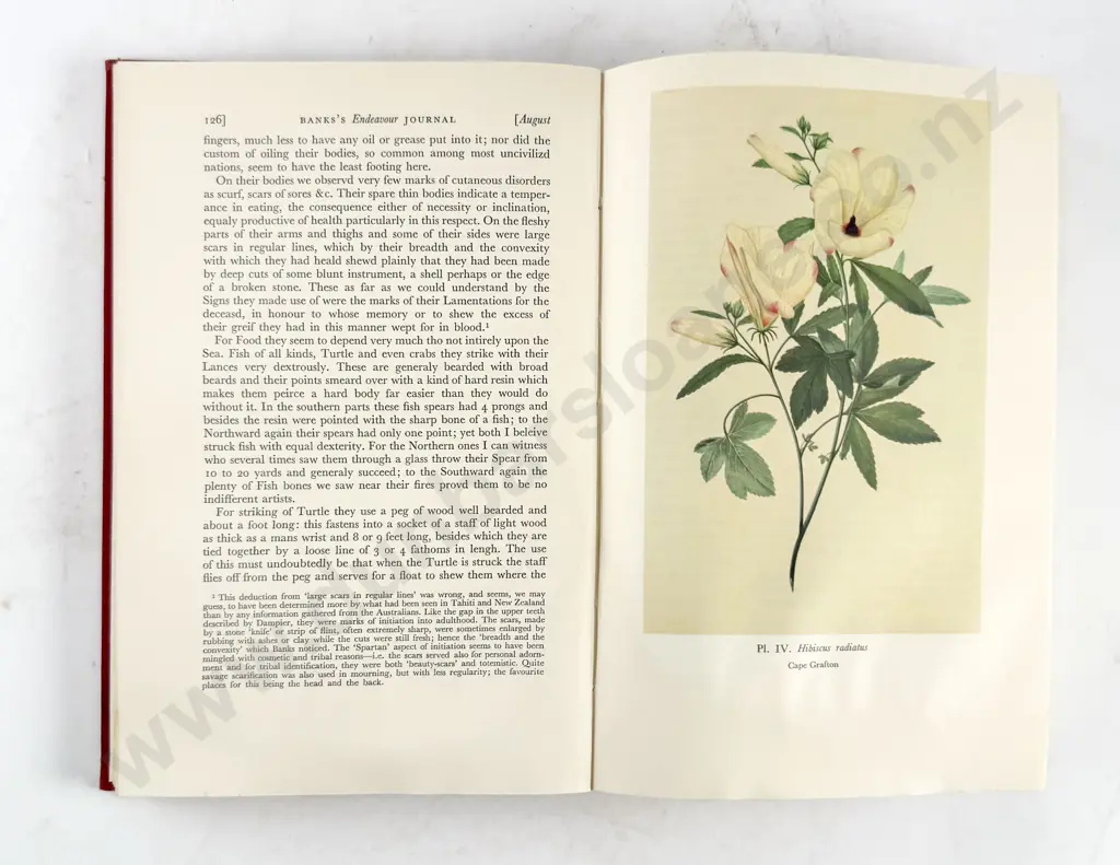 Beaglehole J C - The Endeavour Journals of Joseph Banks 1768-1771 (2 Volumes) Image 1++