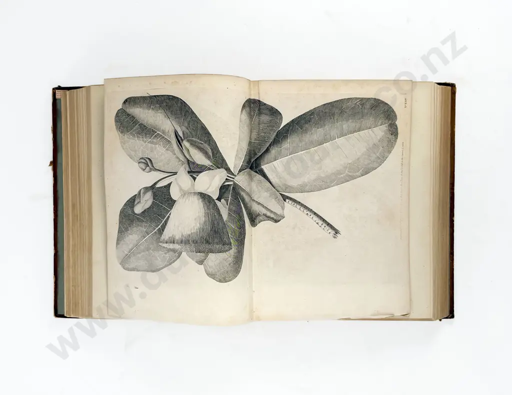 Cook Captain James - A Voyage Towards The South Pole And Round The World (2 Volumes) Image 1++